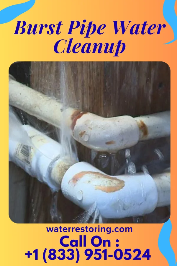 Burst Pipe Water Cleanup in Morristown, NJ